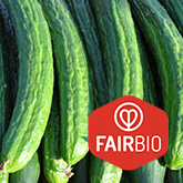 FairBio Gurken