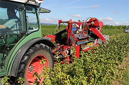 Teaser 2023 0006 Landwirtschaft