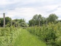 IMG 5325
