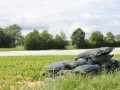 IMG 5329