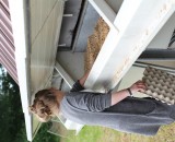 IMG 5385