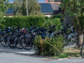  dsc7838