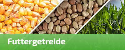 Futtergetreide