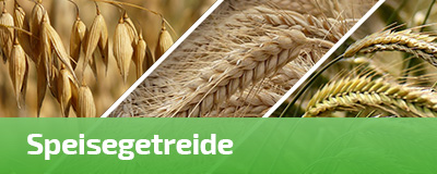 Speisegetreide
